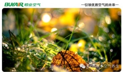 步入秋天，空氣凈化器不可或缺