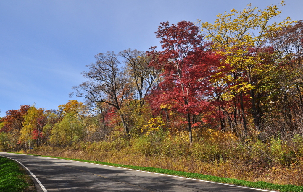 2015年中國空氣凈化器市場現狀分析